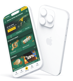 betwinner download