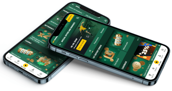 betwinner mobile